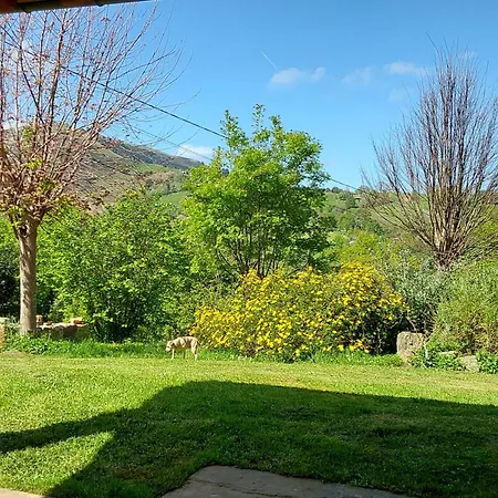 Daire La Kuruxa Arronte